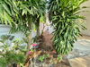 listing thumbnail image 15