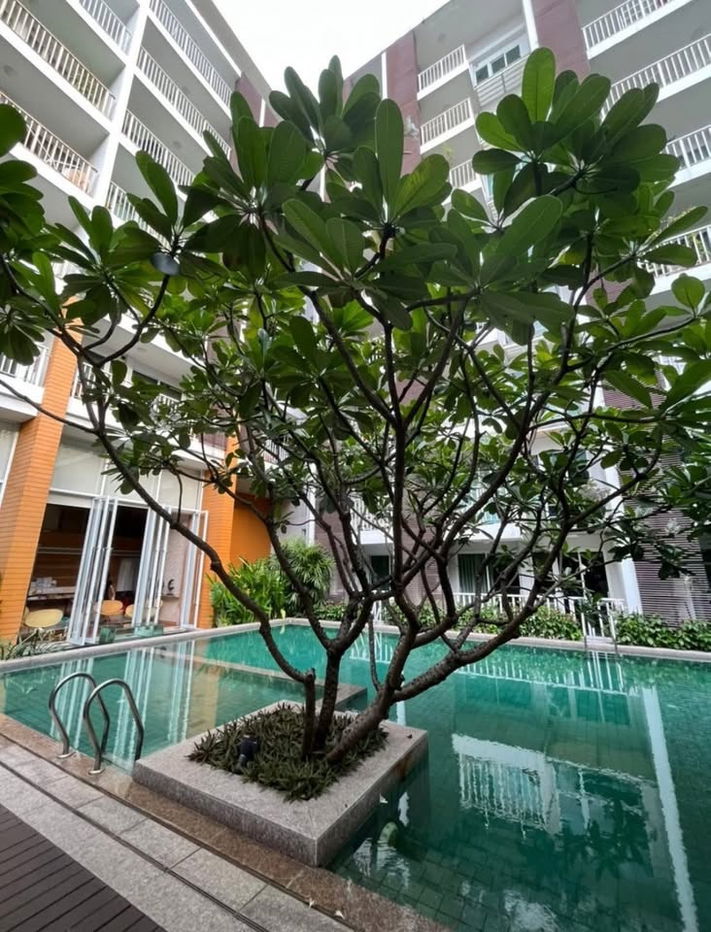 รูป เช่าคอนโด Haven Phaholyothin/ฮาเว่น พหลโยธิน (C6807054)  ID Line : @condo44 - รูปที่ 7/8