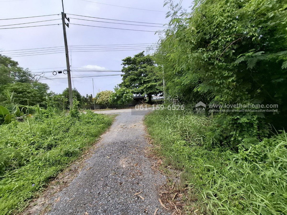 รูป ขายที่ดินถมแล้ว ถ.เจริญทำ (พุทธมณฑลสาย 5) ต.บางเตย สามพราน นครปฐม 108 ตร.วา แปลงสวย สี่เหลี่ยม ถนนหน้าที่ดินกว้าง 8 เมตร - รูปที่ 3/7