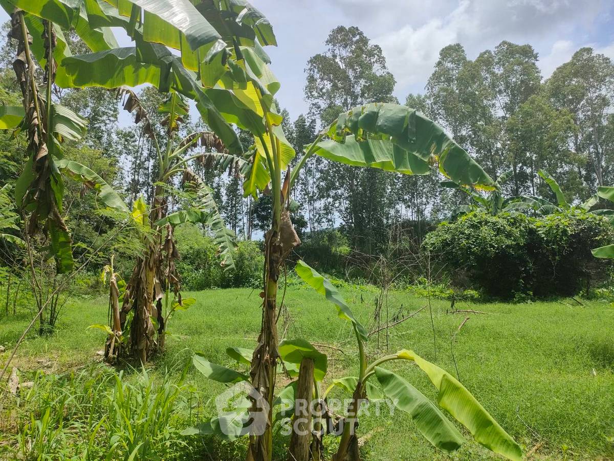 picture 3,424 m² Land for Sale in Sattahip (ID 1473642) - 4/17