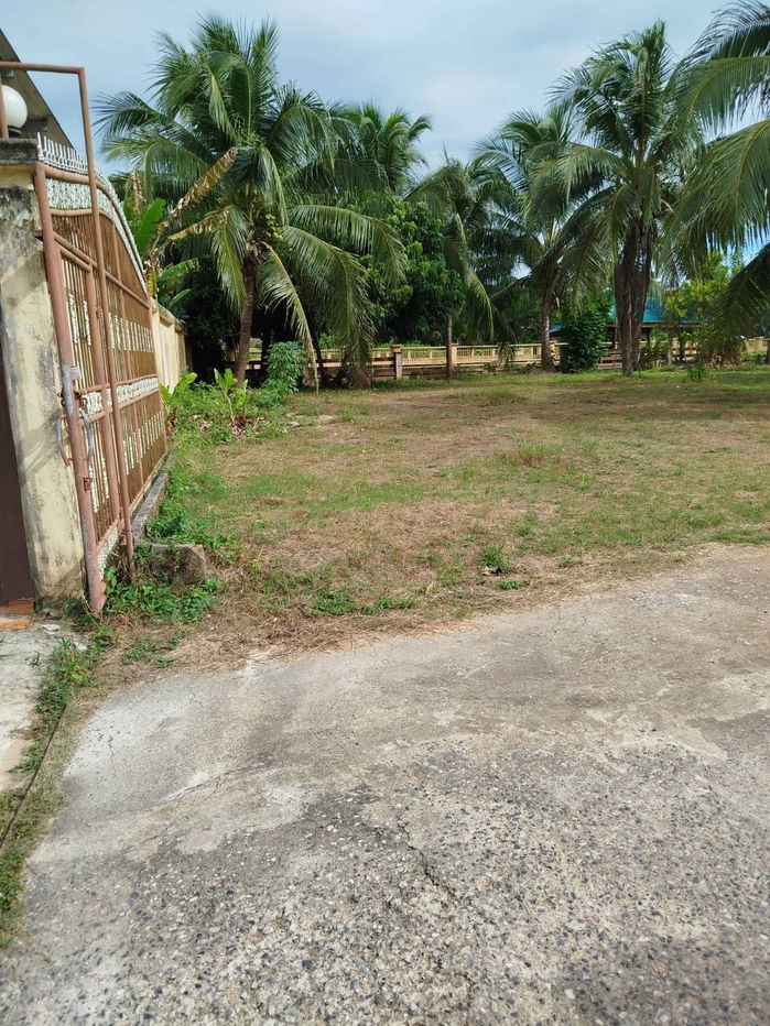 picture House with Land for Sale – 300 (Riverside Property in Peaceful, Private Location at Pattani) - 8/13