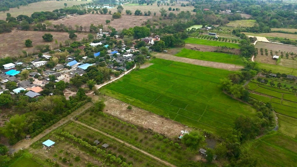 picture Land for sale , near sanpatong hospital 4 km.  - 2/3