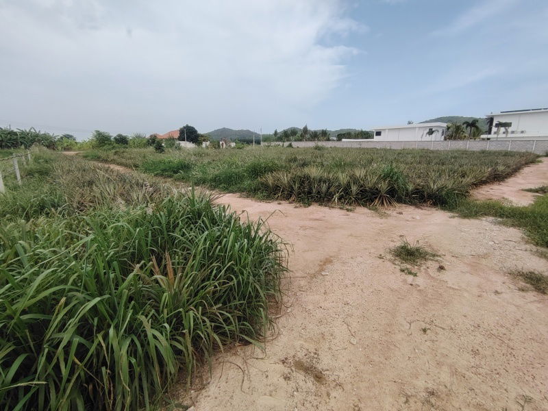 picture 4-0-0 Rai | Home Development Land    In a Fast Developing Residential Area! - 5/14