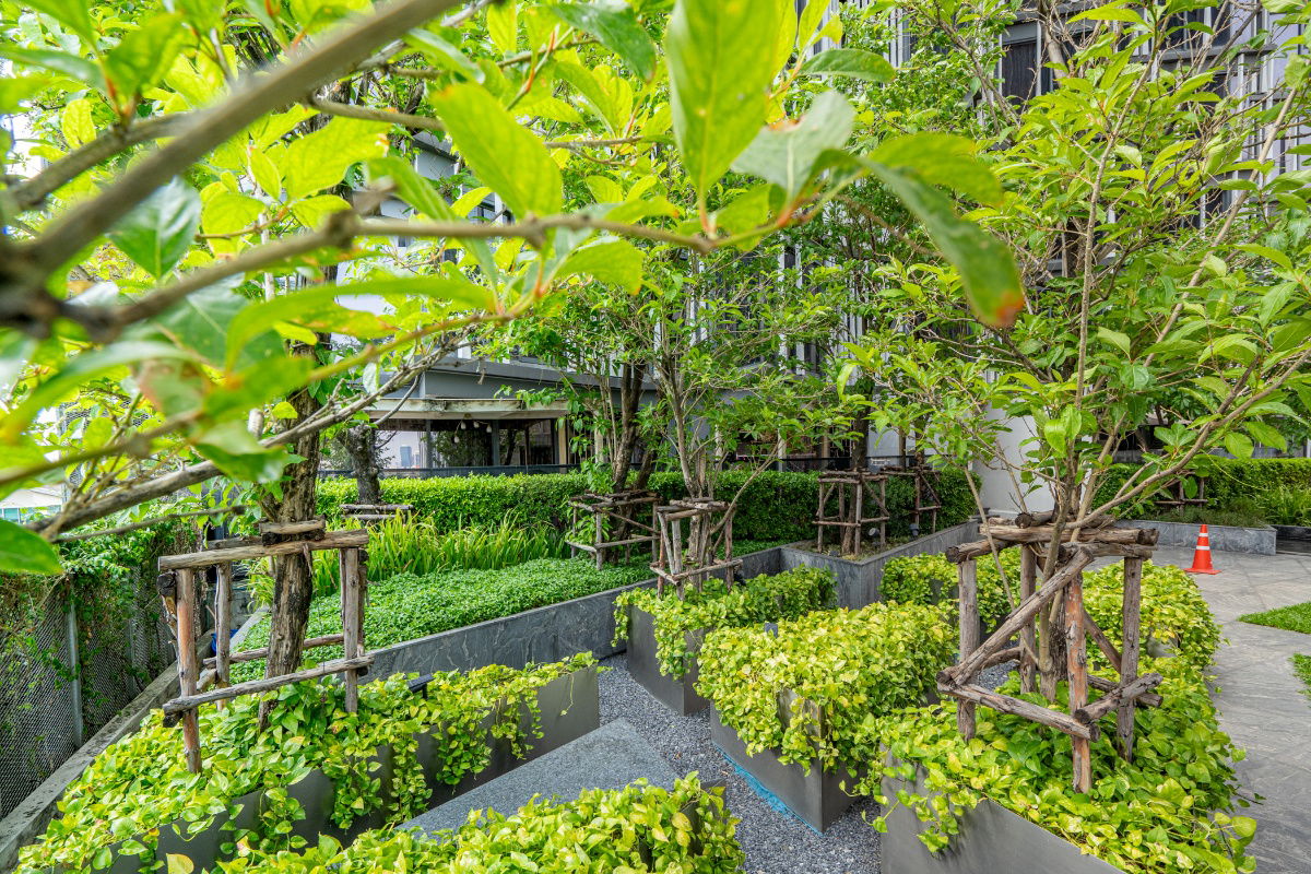 picture Siamese Ratchakru 1 Bedroom 31 sqm 24th foor - 60/84