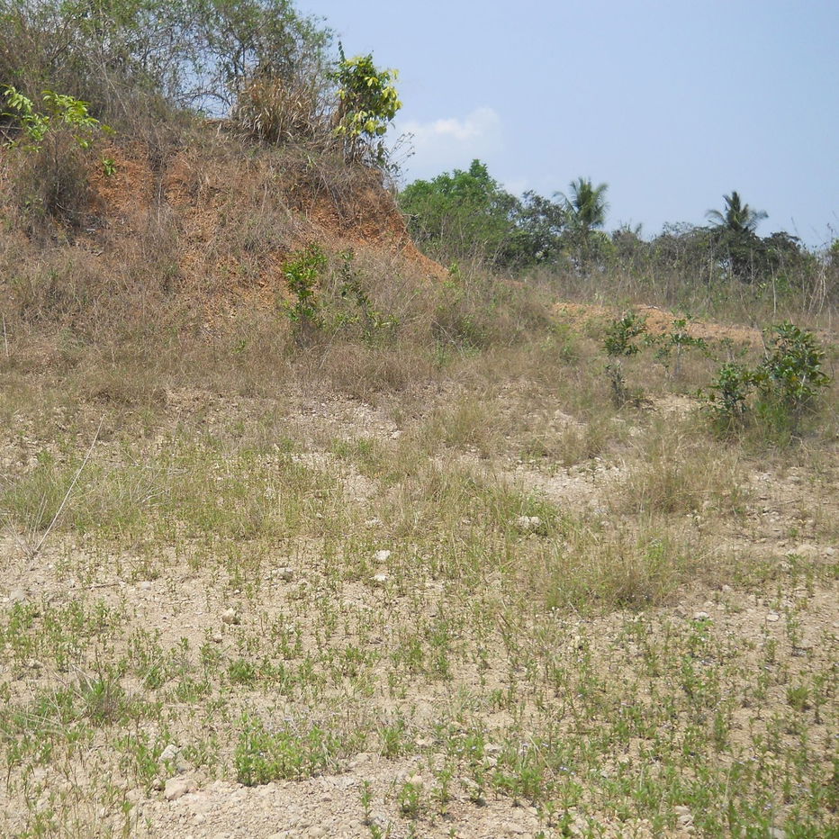picture 8-Rai Land Plot with Mountain View, Near Huay Mongkol Reservoir, Hua Hin – Scenic and Beautiful Location - 5/6