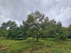 listing thumbnail image 8