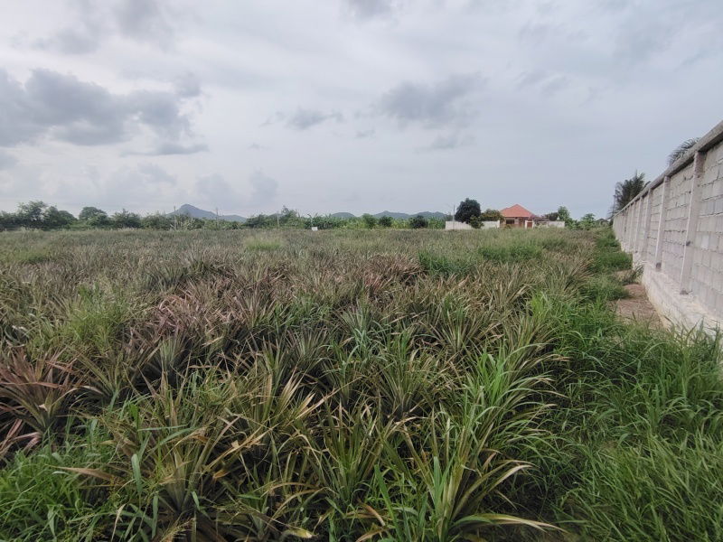 picture 4-0-0 Rai | Home Development Land    In a Fast Developing Residential Area! - 8/14