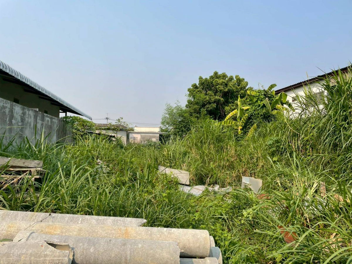 picture Land for sale , near sarasas witaedlannaschool 1 km., thakam , muang,chiang mai - 1/3