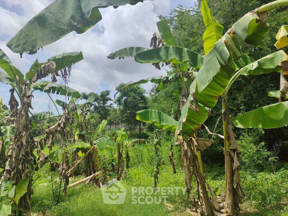 picture 3,424 m² Land for Sale in Sattahip (ID 1473642) - 3/17