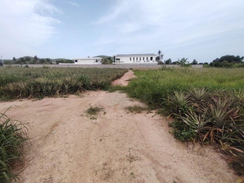 picture 4-0-0 Rai | Home Development Land    In a Fast Developing Residential Area! - 4/14