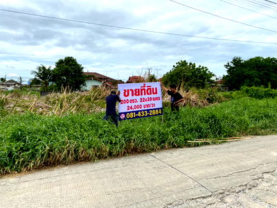 ที่ดิน รังสิต-นครนายก 4 : ขายที่ดิน 200 ตรว. ซอยลำลูกกา 11/12 ขายถูก ถนนเมน