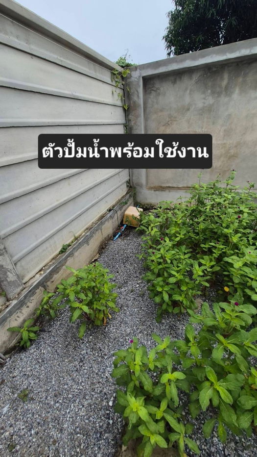 รูป บ้านเดี่ยว2 ชั้น สไตล์ คอนเทมโพรารี่ เน้นพื้นที่ใช้สอย แถมฟรี บ้านอีก1หลัง - รูปที่ 14/19