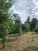 listing thumbnail image 10