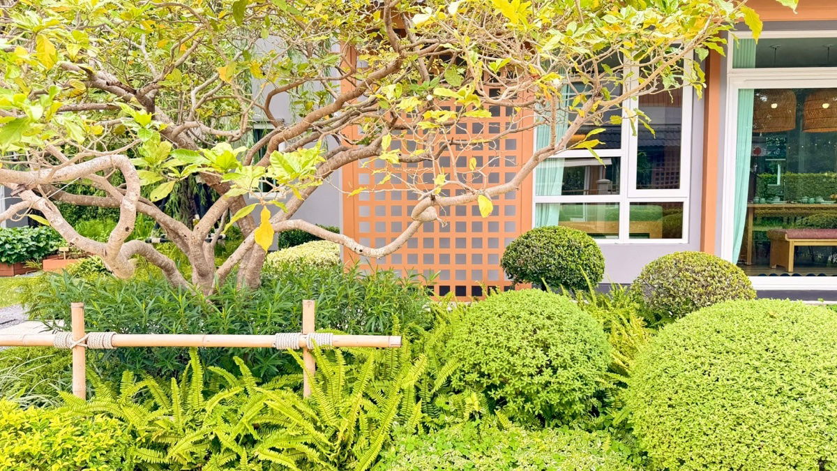 รูป 🏡 ขายบ้านสไตล์ Modern Japanese – โครงการอณาสิริ สรงประภา บ้านพร้อมอยู่ ตกแต่งครบ เฟอร์นิเจอร์ + เครื่องใช้ไฟฟ้า พร้อมกู้ 100% - รูปที่ 22/26