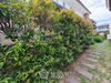 listing thumbnail image 22
