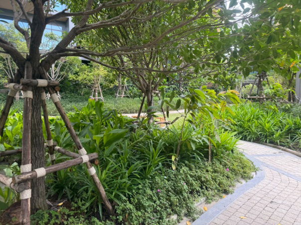 รูป ขาย ห้องมุม  3 ห้องนอน ที่ คอนโด Whizdom the Forestias, ใกล้ ห้าง Mega Bangna - รูปที่ 23/24