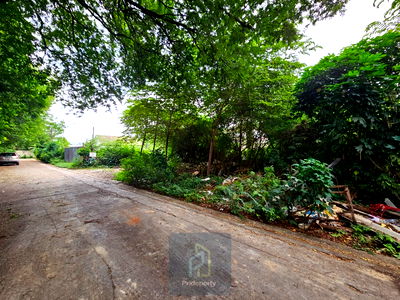 ที่ดิน เซ็นทรัล พลาซ่า บางนา : ขาย ที่ดินเปล่า 145 ตร.วา ซ.ปุณณวิถี 43 สุขุมวิท 101 ถนนกว้าง แปลงสี่เหลี่ยม