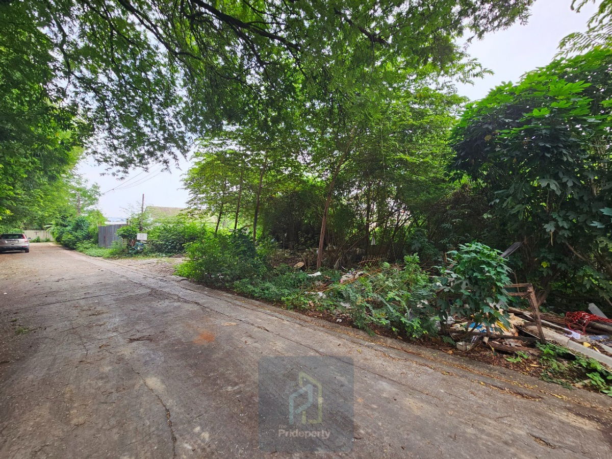 รูป ขาย ที่ดินเปล่า 145 ตร.วา ซ.ปุณณวิถี 43 สุขุมวิท 101 ถนนกว้าง แปลงสี่เหลี่ยม - รูปที่ 1/6