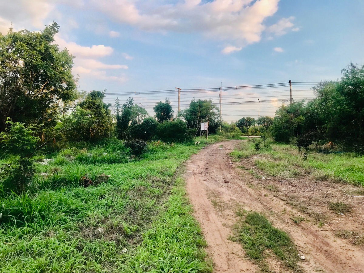 picture Land for sale, Mittraphap Road, 10 rai, Suitable for warehouse, refrigerated storages, no flooding. - 9/9