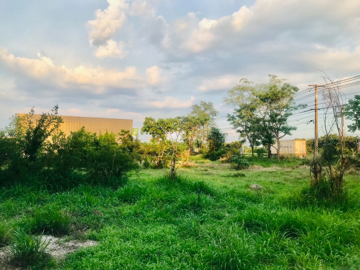 picture Land for sale, Mittraphap Road, 10 rai, Suitable for warehouse, refrigerated storages, no flooding. - 7/9