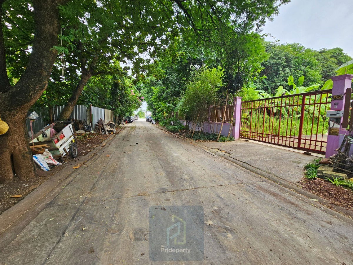 รูป ขาย ที่ดินเปล่า 145 ตร.วา ซ.ปุณณวิถี 43 สุขุมวิท 101 ถนนกว้าง แปลงสี่เหลี่ยม - รูปที่ 6/6