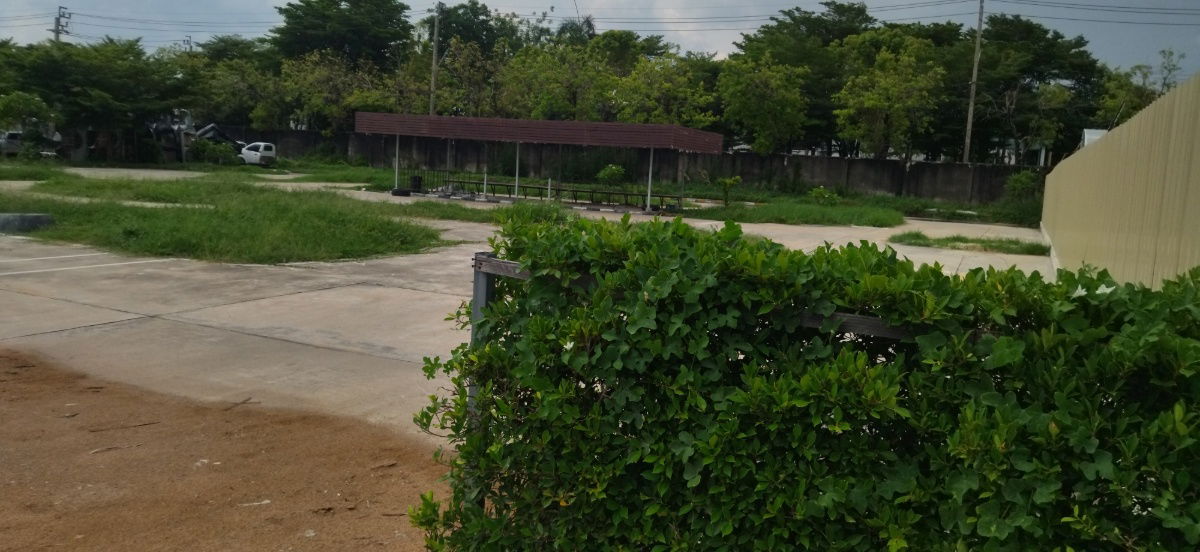 รูป ให้เช่าที่ดินเปล่าที่ซอยกรุงเทพ กรีฑา 32 , 250 เมตรจากทางคู่ขนานโมเตอร์เวย์ - รูปที่ 1/5