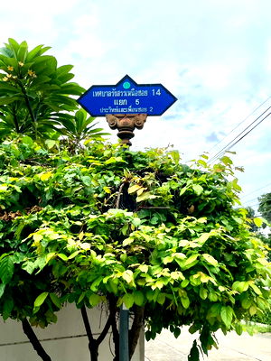 บ้านเดี่ยว เขตจตุจักร : 🏡 ขายบ้านเดี่ยว 2 ชั้น พร้อมอยู่ ย่านประชาชื่น