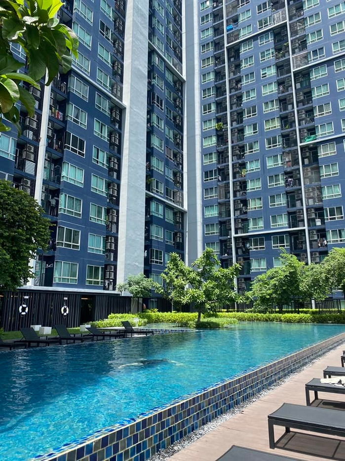 picture 🟢For Sale🟢The Base Sukhumvit 50, beautiful room, fully furnished📱ADD LINE @nathong97 (reply ⚡ 24 Hr) P646 - 11/15