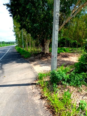 ที่ดิน พนมสารคาม ฉะเชิงเทรา : ขายที่ดิน ต.เขาหินซ้อน อ.พนมสารคาม จ.ฉะเชิงเทรา