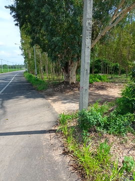 ขายที่ดิน ต.เขาหินซ้อน อ.พนมสารคาม จ.ฉะเชิงเทรา