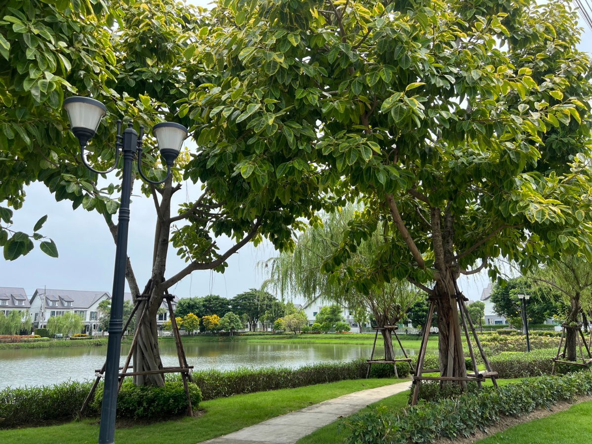 รูป ขายบ้านตัวอย่างพร้อมอยู่ ติดคลับเฮาส์ โครงการบุราสิริ อินทรา จากแสนสิริ - รูปที่ 5/17