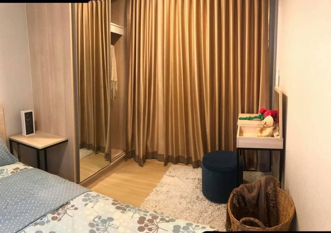 picture Plum Condo Rangsit Alive for rent - 5/22