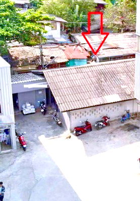 Office for rent Central Plaza Bang Na : BTS PhraKhanong 400m. For rent home office 20sq.w. 80sq.m. BTS BangChak 395m. Gateway Ekamai 3.5 km.