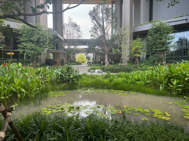 รูป ขาย ห้องมุม  3 ห้องนอน ที่ คอนโด Whizdom the Forestias, ใกล้ ห้าง Mega Bangna - รูปที่ 22/24