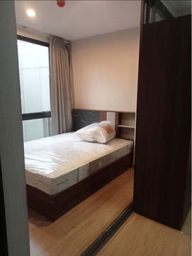 𝗧𝗵𝗲 𝗧𝗿𝗲𝗲 𝗣𝗿𝗶𝘃𝗮𝘁𝗮 for rent ✨ Fully furnished