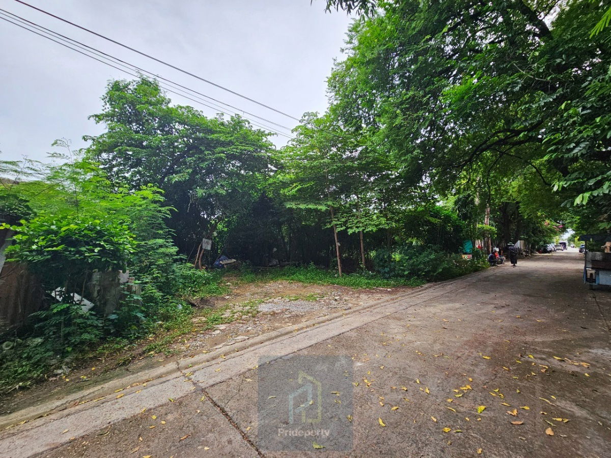 รูป ขาย ที่ดินเปล่า 145 ตร.วา ซ.ปุณณวิถี 43 สุขุมวิท 101 ถนนกว้าง แปลงสี่เหลี่ยม - รูปที่ 4/6