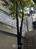 listing thumbnail image 10