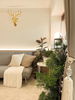 listing thumbnail image 16