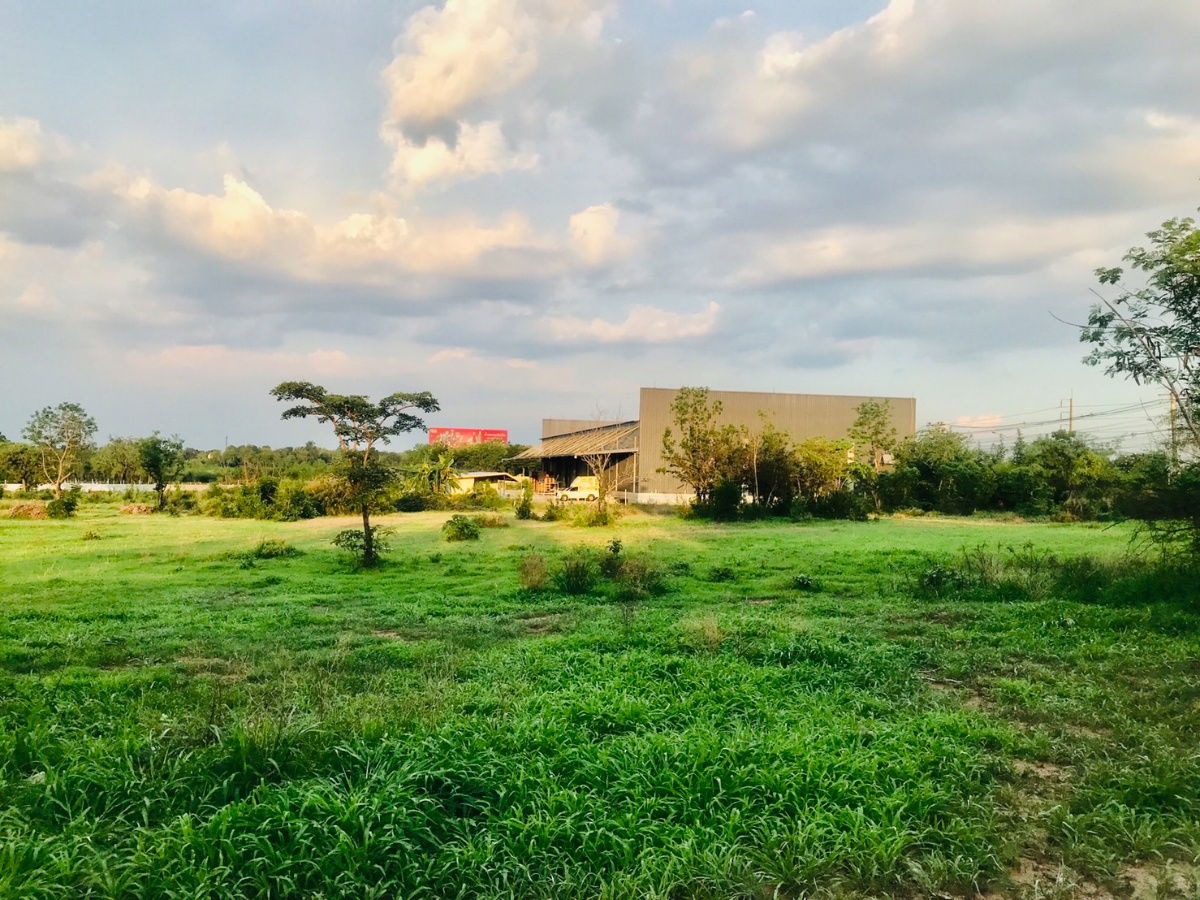 picture Land for sale, Mittraphap Road, 10 rai, Suitable for warehouse, refrigerated storages, no flooding. - 5/9
