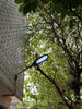 listing thumbnail image 22