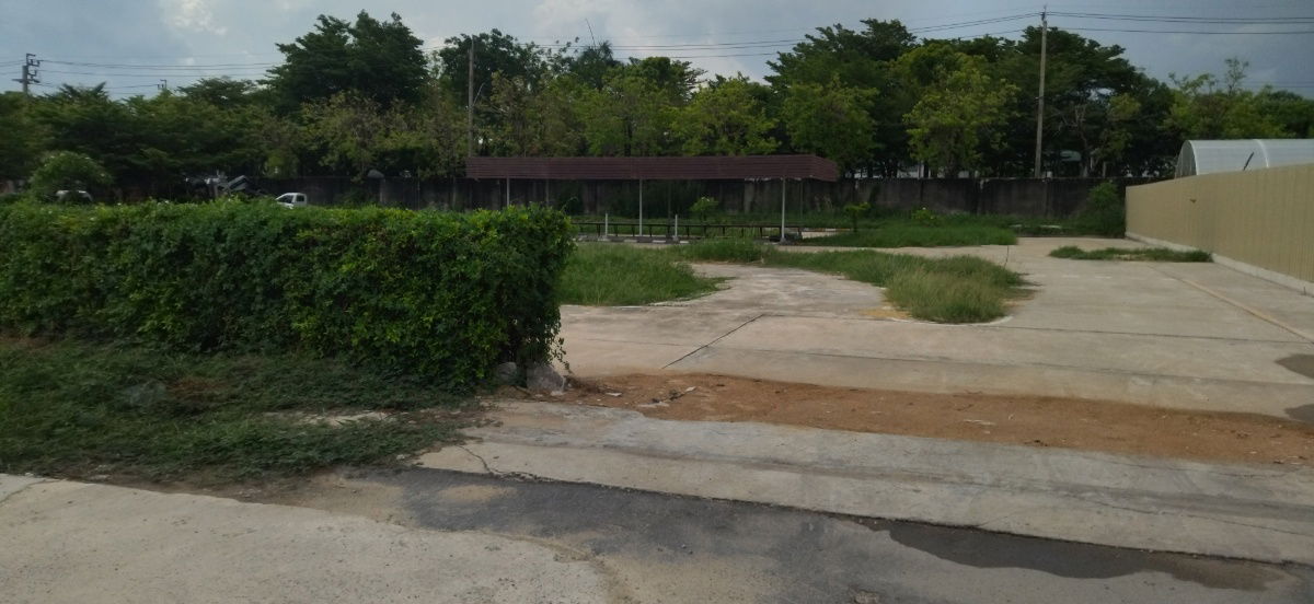 รูป ให้เช่าที่ดินเปล่าที่ซอยกรุงเทพ กรีฑา 32 , 250 เมตรจากทางคู่ขนานโมเตอร์เวย์ - รูปที่ 2/5