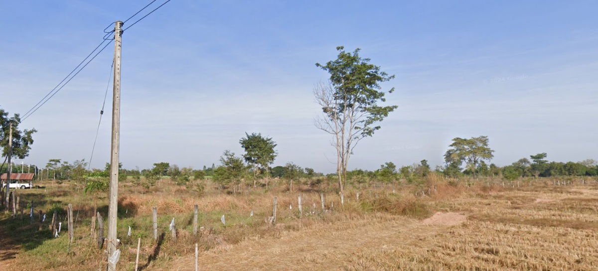 รูป ขายที่ดินพร้อมสวนป่า ต้นพะยุงและไม้เนื้อแข็ง บริเวณบ้านหนองกะเดา ต.หนองกุงเซิน อ.ภูเวียง จ.ขอนแก่น - รูปที่ 18/32
