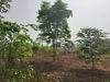 listing thumbnail image 31