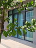 listing thumbnail image 8