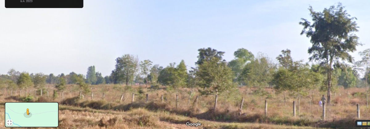 รูป ขายที่ดินพร้อมสวนป่า ต้นพะยุงและไม้เนื้อแข็ง บริเวณบ้านหนองกะเดา ต.หนองกุงเซิน อ.ภูเวียง จ.ขอนแก่น - รูปที่ 15/32