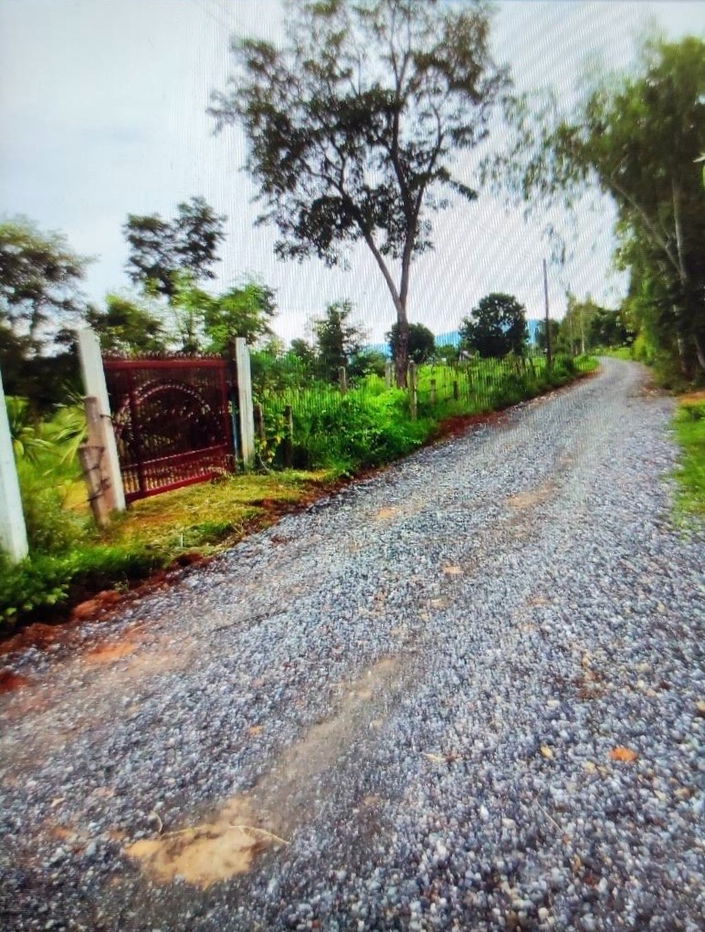 รูป ขายที่ดินพร้อมสวนป่า ต้นพะยุงและไม้เนื้อแข็ง บริเวณบ้านหนองกะเดา ต.หนองกุงเซิน อ.ภูเวียง จ.ขอนแก่น - รูปที่ 1/32