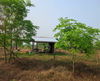 listing thumbnail image 25