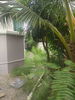 listing thumbnail image 21