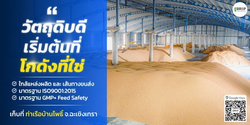 โกดังเก็บสินค้า ที่ อ.บ้านโพธิ์ จ.ฉะเชิงเทรา ใกล้กว่าที่คุณคิด ราคาเช่าตามน้ำหนักไม่แพงอย่างที่คิด