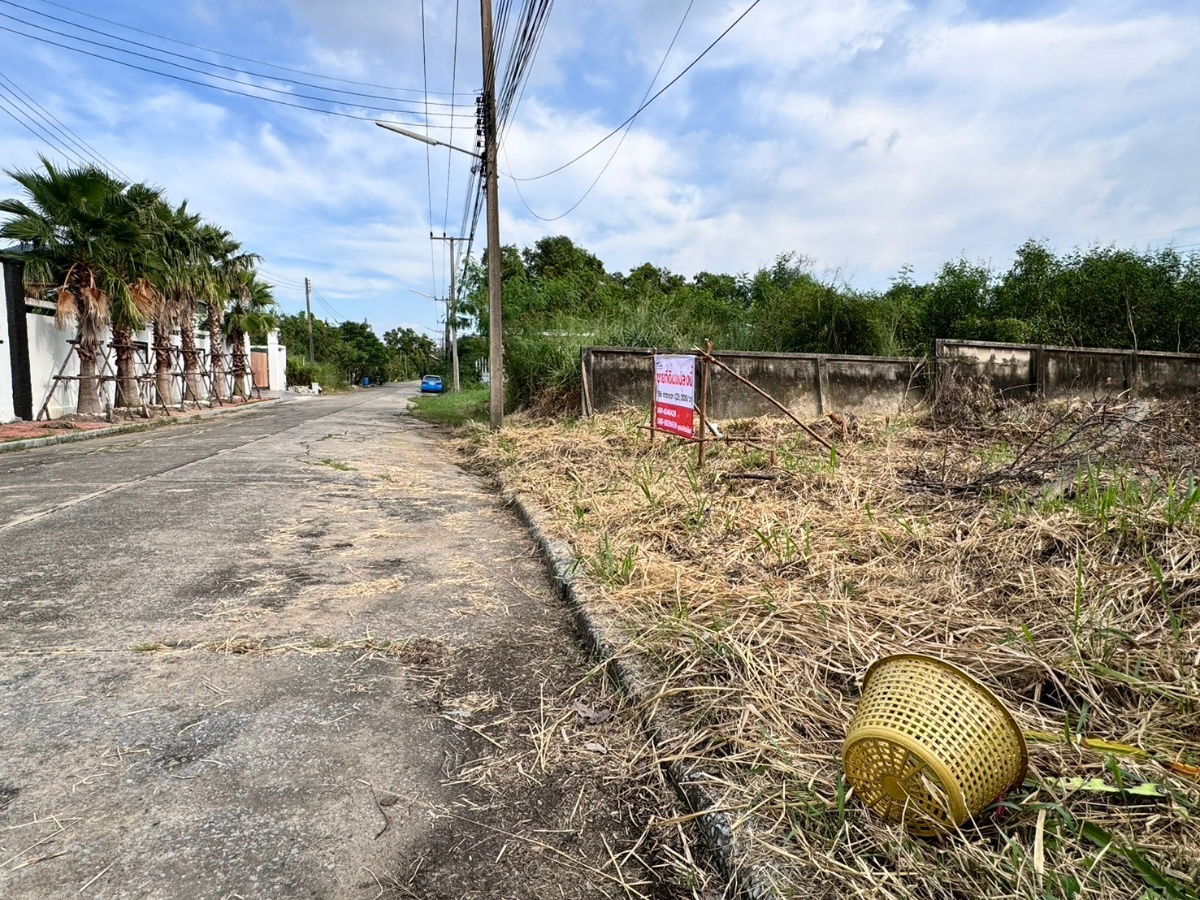 picture Land for sale in Muang Ek, Rangsit (Project 3), 136 sq m, filled in, Muang Pathum Thani, near Rangsit University (N.1483) - 4/7